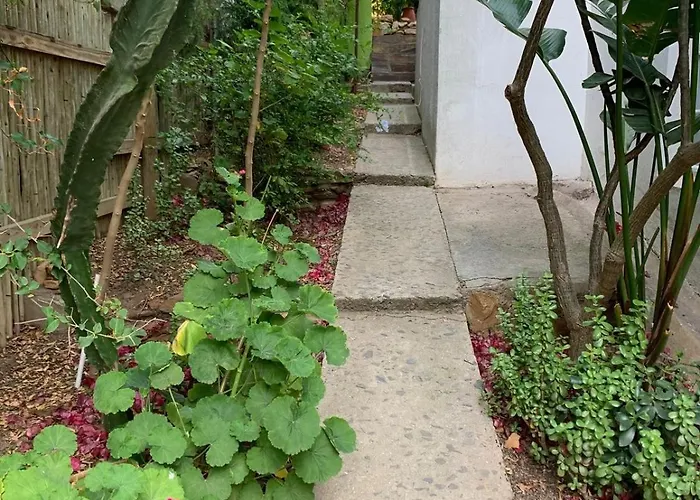 Garden Studio