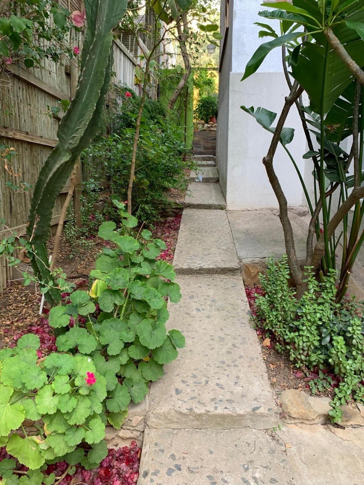 Garden * Cape Town